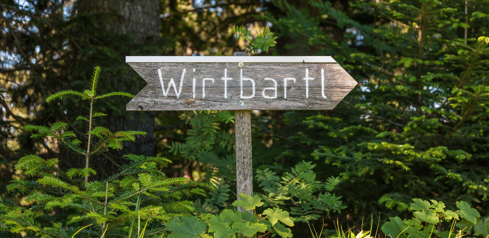 wirtbarl